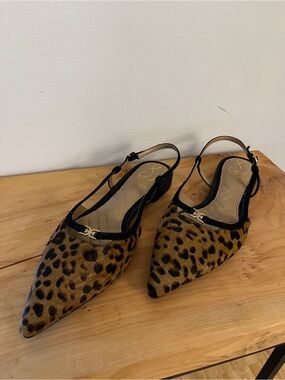 Sam Edelman Cohen Slingbacks